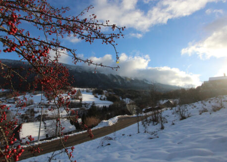 EN LISIERE DU BOIS
